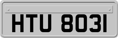 HTU8031