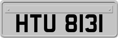 HTU8131