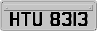 HTU8313