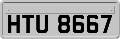 HTU8667