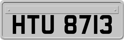 HTU8713