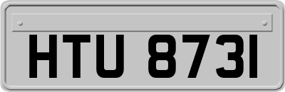 HTU8731