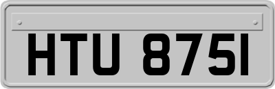 HTU8751
