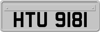 HTU9181
