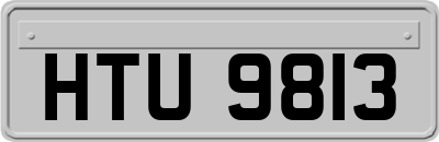 HTU9813