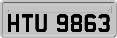 HTU9863