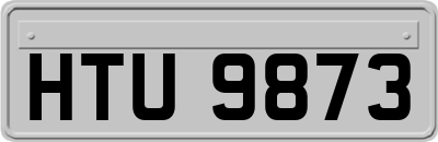 HTU9873