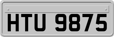 HTU9875
