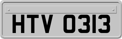 HTV0313
