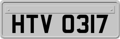 HTV0317