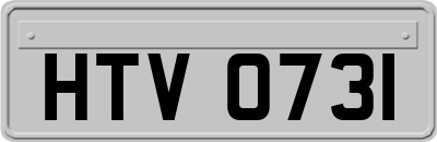HTV0731