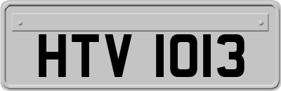HTV1013