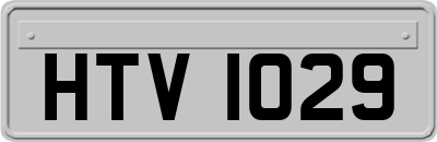 HTV1029