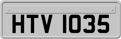 HTV1035