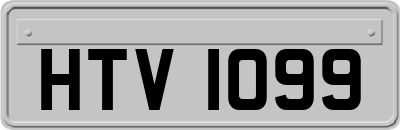 HTV1099