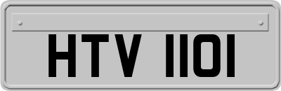 HTV1101