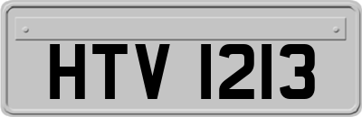 HTV1213