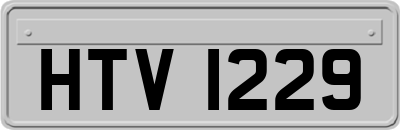 HTV1229