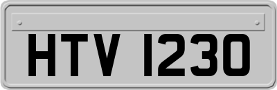 HTV1230