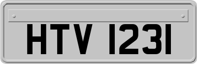HTV1231