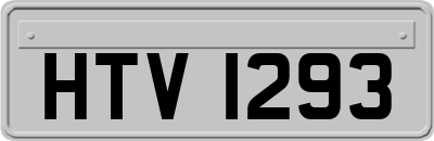 HTV1293