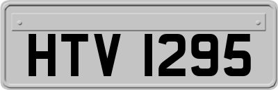 HTV1295