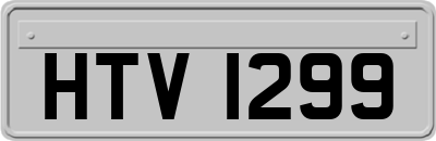 HTV1299
