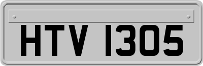 HTV1305