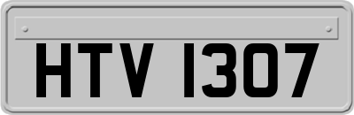 HTV1307
