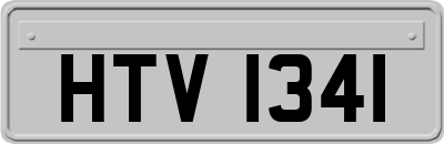HTV1341
