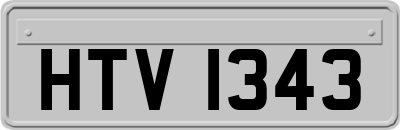 HTV1343