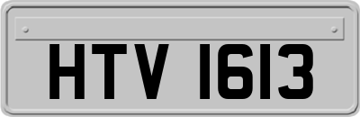 HTV1613