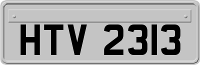 HTV2313