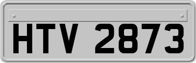 HTV2873