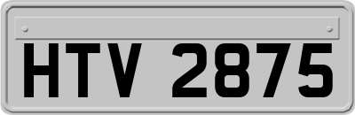 HTV2875