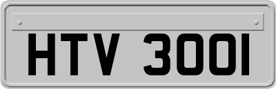 HTV3001