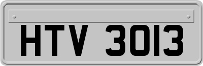 HTV3013