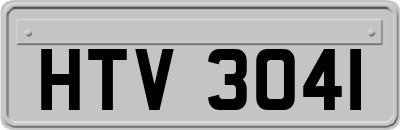 HTV3041
