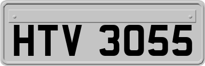HTV3055