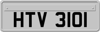 HTV3101