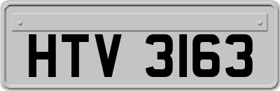 HTV3163