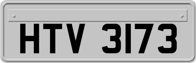 HTV3173