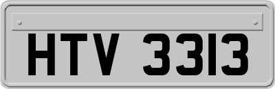 HTV3313