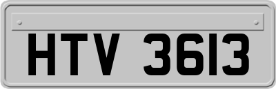 HTV3613
