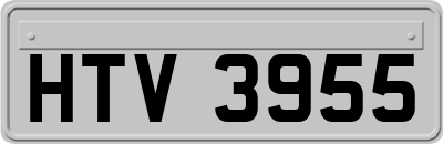 HTV3955