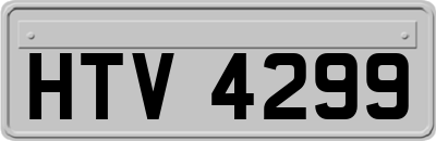HTV4299