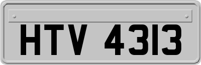 HTV4313