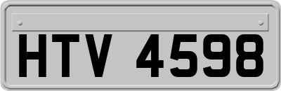 HTV4598