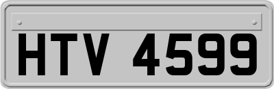 HTV4599