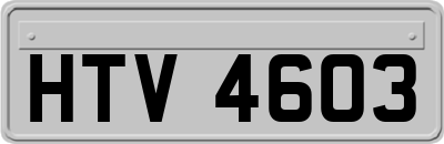 HTV4603